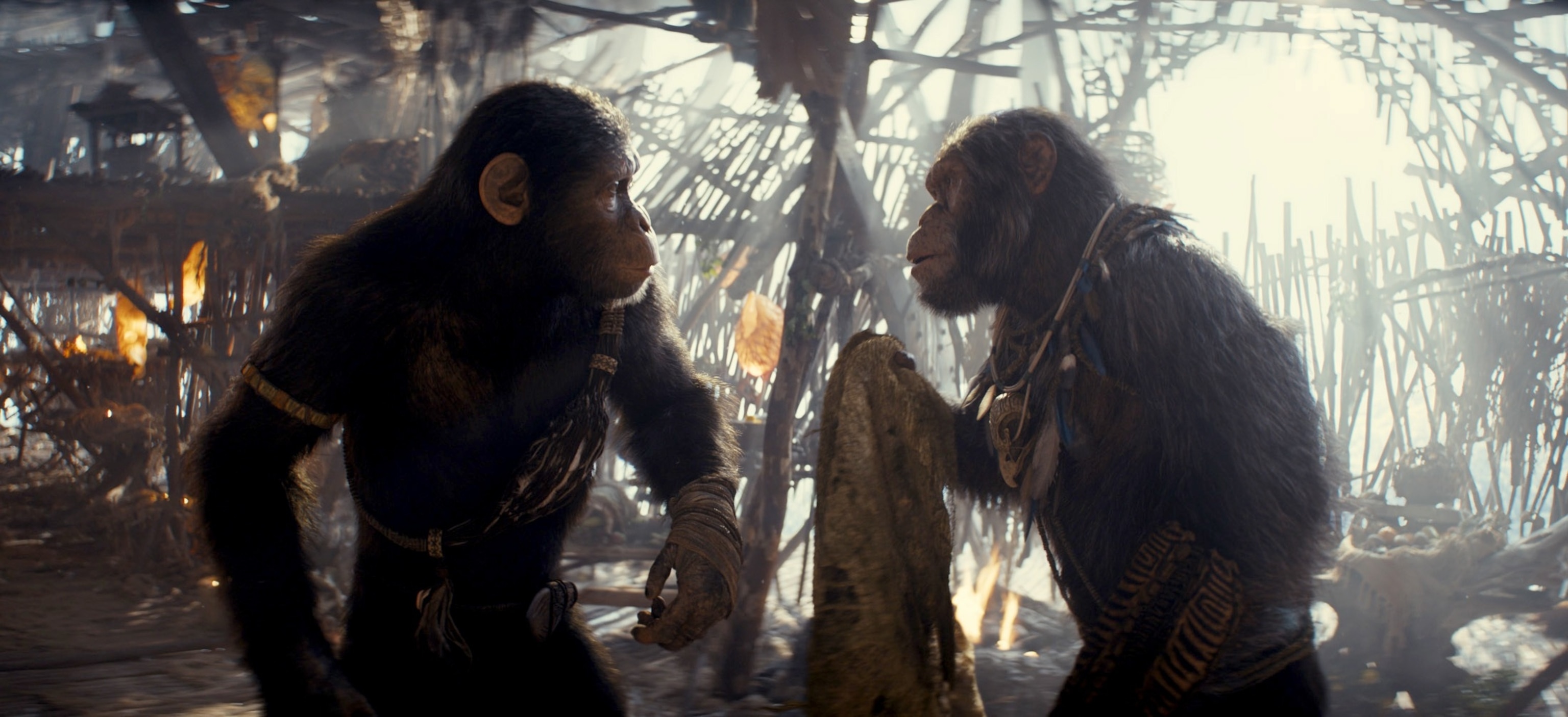 PHOTO: Scene from "Kingdom of the Planet of the Apes."