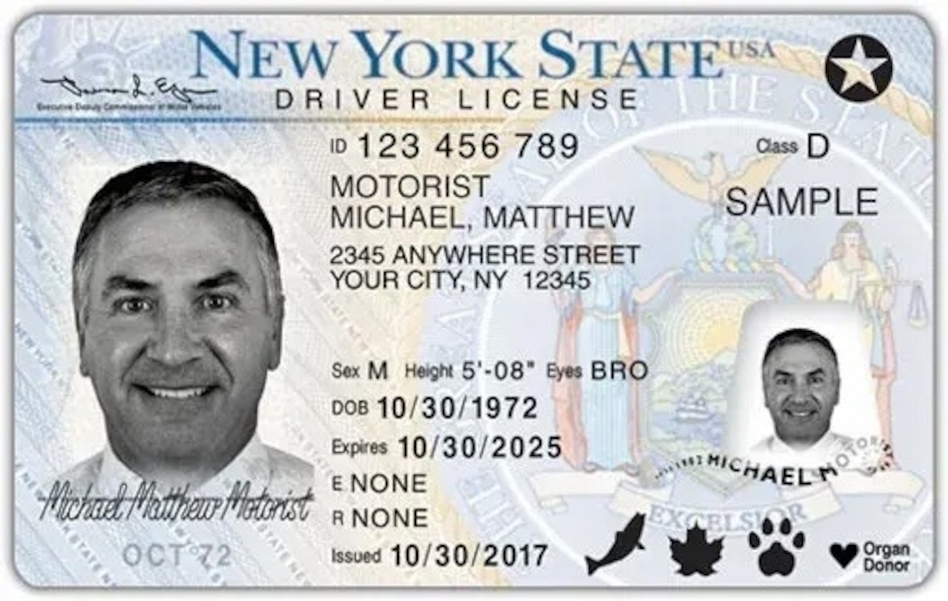 PHOTO: An example of a REAL ID from New York issued by the DMV.